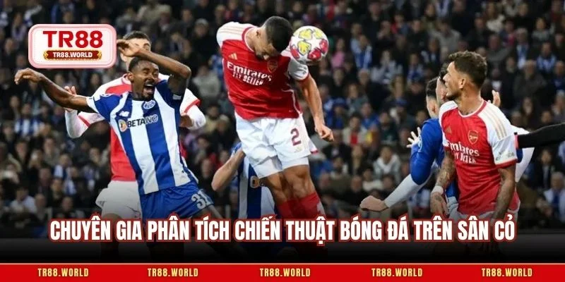 Chuyên gia phân tích chiến thuật bóng đá trên sân cỏ